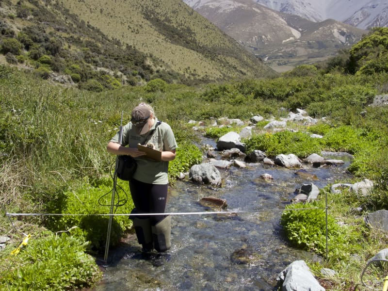 Man gathering information in high country stream